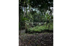 Dalung, Bali
