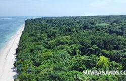 CWJV+FFV, Ate Dalo, Kodi, Southwest Sumba Regency, East Nusa Tenggara, Indonesia, Ate Dalo, East Nusa Tenggara