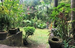 Pererenan, Bali 80351
