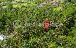 Ubud, Bali