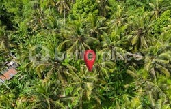 Ubud, Bali