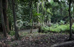 Dalung, Bali
