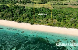 Ate Dalo, Ate Dalo, East Nusa Tenggara