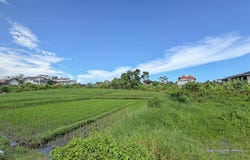 Tumbak Bayuh, Tumbak Bayuh, Bali 80351