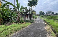Ubud, Bali