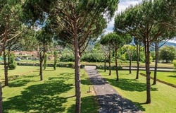 Pietrasanta, Tuscany 55045