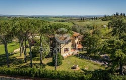 Siena, Siena