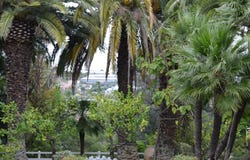 Sanremo, Liguria 18038