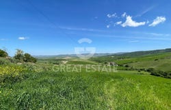 Castiglione d'Orcia, Tuscany 53023