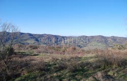 Umbertide, Umbria 06019