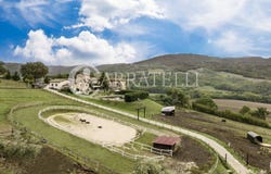 Umbertide, Umbria 06019