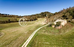 Montepulciano, Tuscany 53045