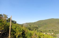 Campo nell'Elba, Tuscany 57034