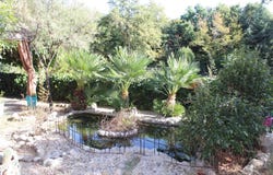Sarteano, Tuscany 53047