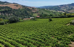 Montefiore dell'Aso, Marche 63062