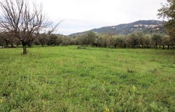 Gavorrano, Tuscany 58023
