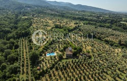 Reggello, Tuscany 50066