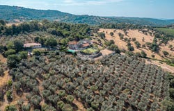 Scansano, Tuscany 58054