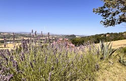 Gradara, Marche 61012