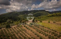 Gaiole in Chianti, Siena