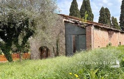 Strove, Monteriggioni, Toscana|Tuscany 53035