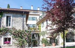 Gonte, The Piedmont 28824