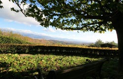 Serravalle Pistoiese, Tuscany 51030