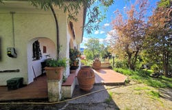 Camaiore, Tuscany 55041