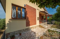 Lucignano, Tuscany 52046