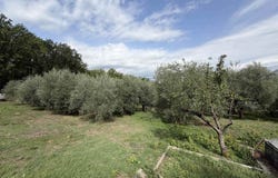 Fontechiari, Lazio 03030