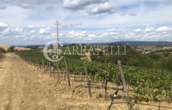 Cinigiano, Tuscany 58044
