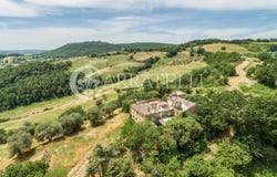 Torrita di Siena, Tuscany 53049