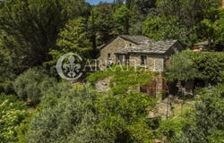 Cortona, Tuscany 52044