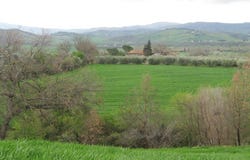 Campagnatico, Tuscany 58042