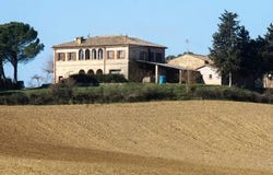 Buonconvento, Tuscany 53022
