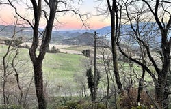 Urbino, Marche 61029