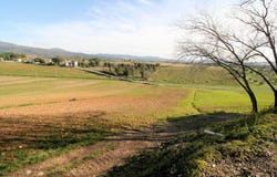 Roccastrada, Tuscany 58036