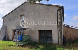 Scansano, Tuscany 58054