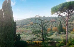 Florence, Tuscany 50137
