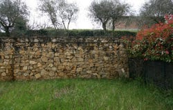 Serre di Rapolano, Tuscany 53040
