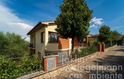 Lucignano, Tuscany 52046