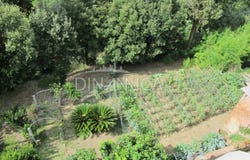 Casciana Terme, Tuscany 56034