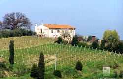 Terricciola, Tuscany 56030