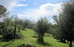Civitella Paganico, Tuscany 58045