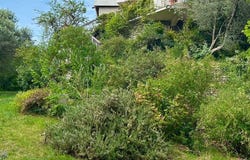 Toscolano-Maderno, Lombardy 25088