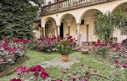 Lucca, Tuscany 55100