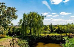 Sant'Andrea a Montecchio, Tuscany 53100