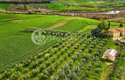 Manciano, Tuscany 58014