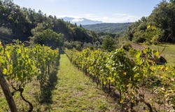 Montalcino, Tuscany 53024