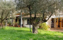 Monte Oriolo, Tuscany 50023